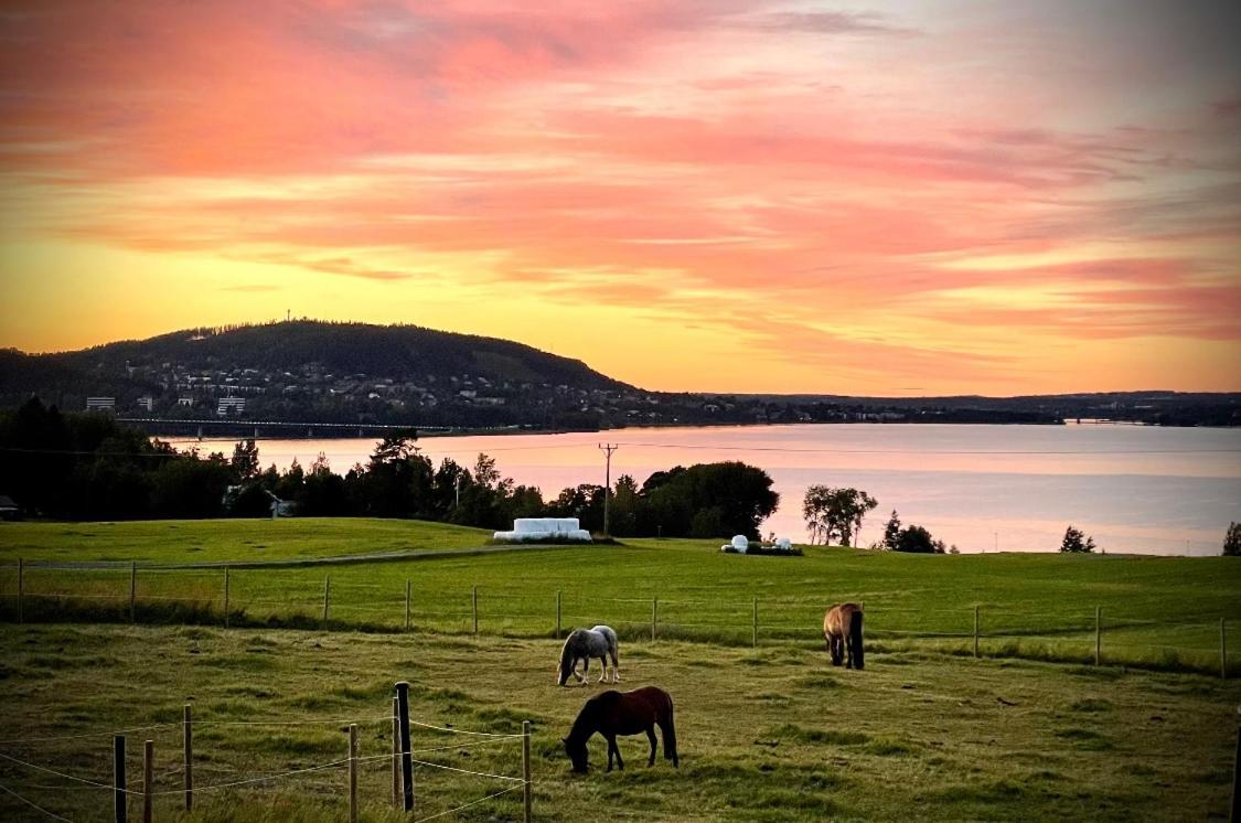 Scenic Small Guesthouse On Horse Farm By The Lake Froso Exterior photo
