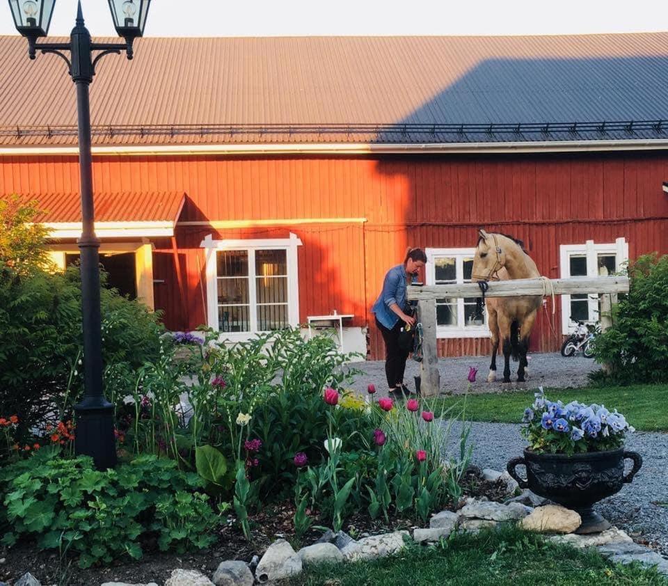 Scenic Small Guesthouse On Horse Farm By The Lake Froso Exterior photo