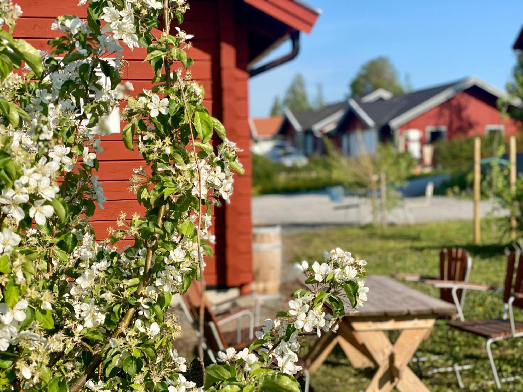 Scenic Small Guesthouse On Horse Farm By The Lake Froso Exterior photo